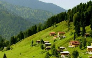 artvin yaylaları