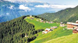 pokut yaylası