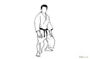judo duruş pozisyonu